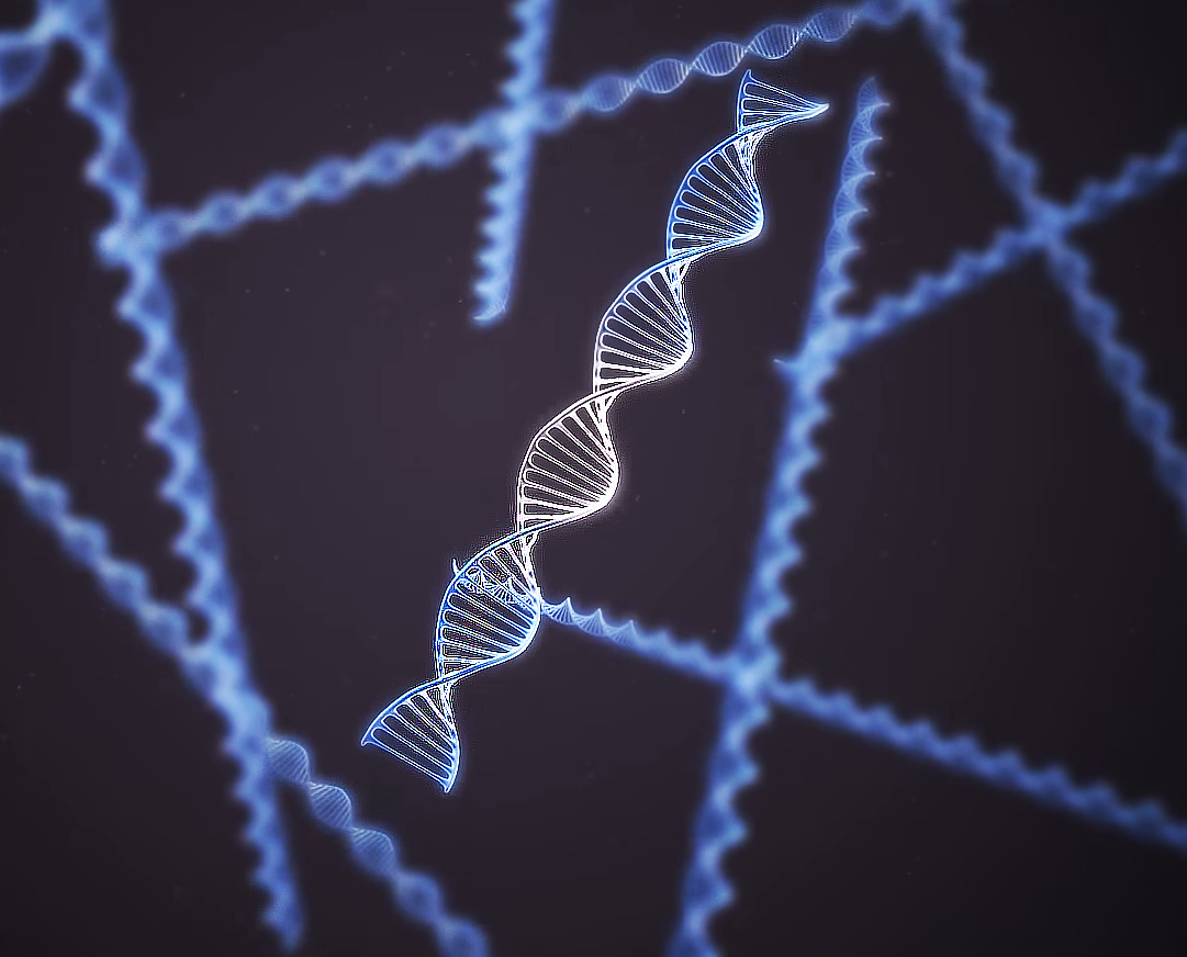 This image is a shot from one of Trinity's medical biological animation portraying DNA strands rendered from Trinity Animation's 3D software. There are several scattered in an open space displayed in a vibrant purple, but is closer and in focus.