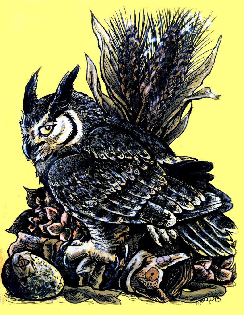 Owl Illustration by Mallory Dorn from Trinity Animation.