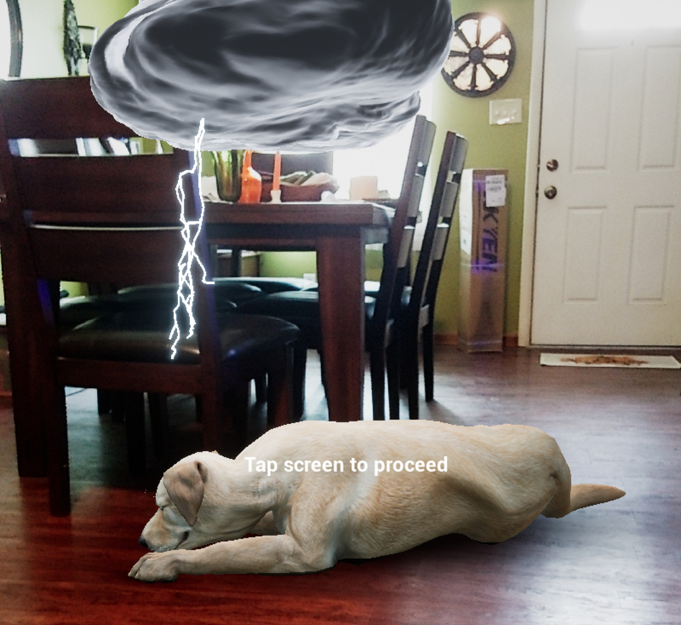 A dog lays on the floor near a table, showing how the augmented reality in healthcare puts the pet right into your environment.