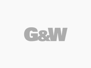 G and W logo