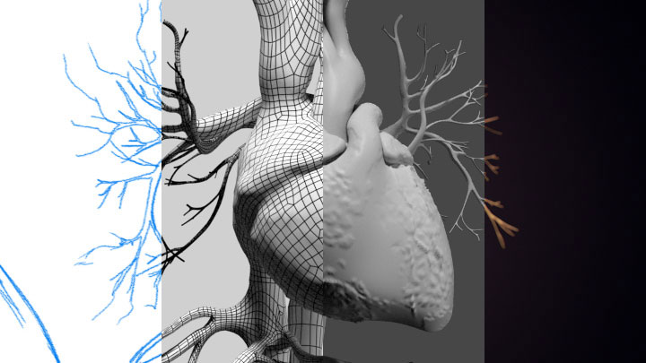 Medical Animation | 3D Animation Anatomy | Trinity Animation