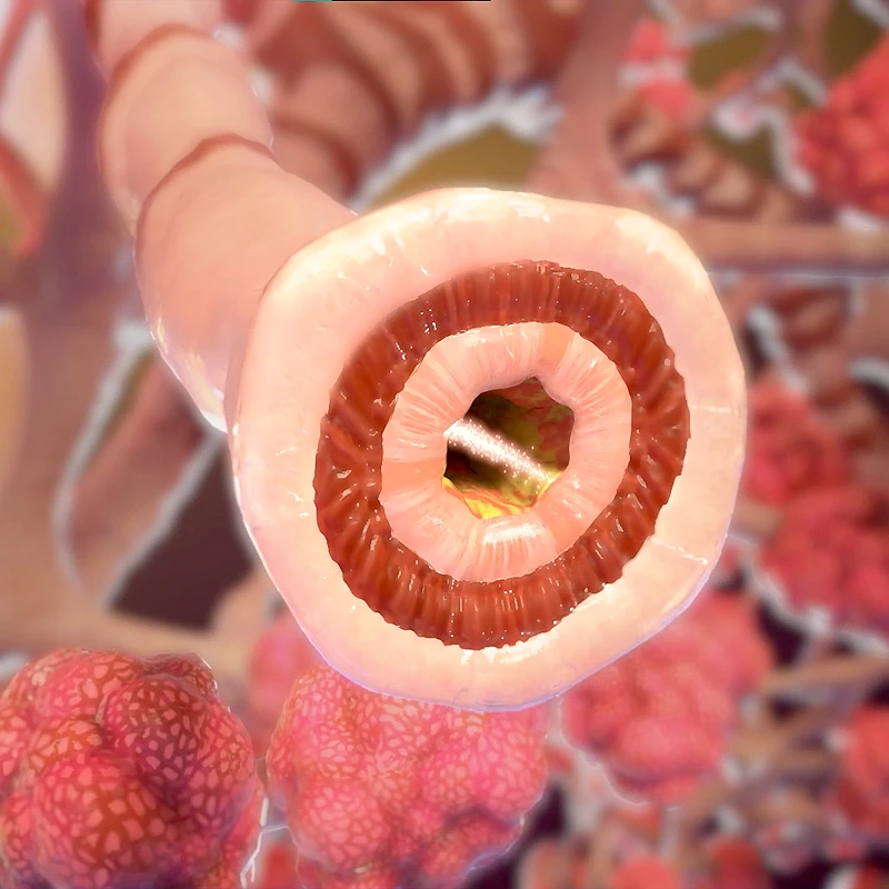 Breathe easy with animation! Kansas City's Trinity Animation brings an inhaler to life in this clear, informative medical video. See the inner workings explained visually, step-by-step, for optimal understanding and use. Trustworthy medical info meets engaging animation.