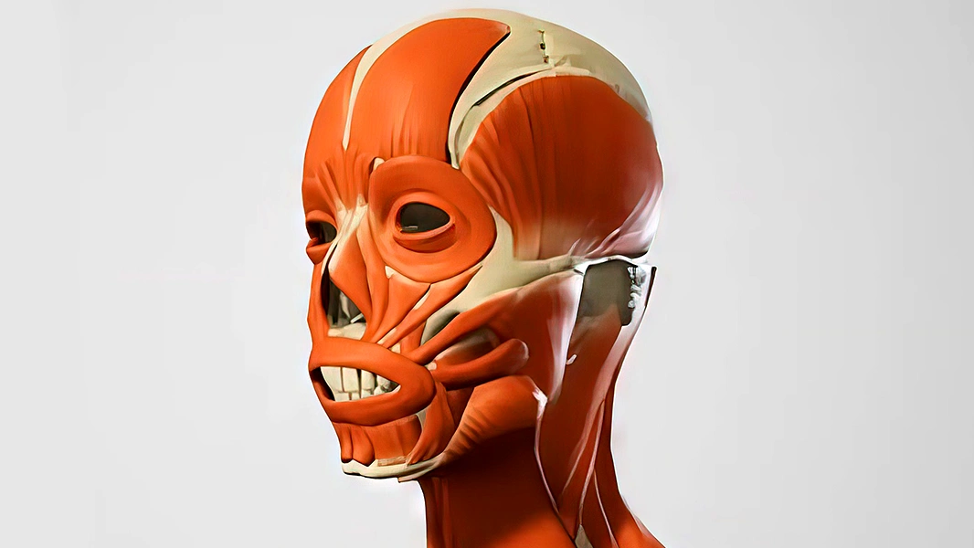 Virtual Reality Human Body Physiology