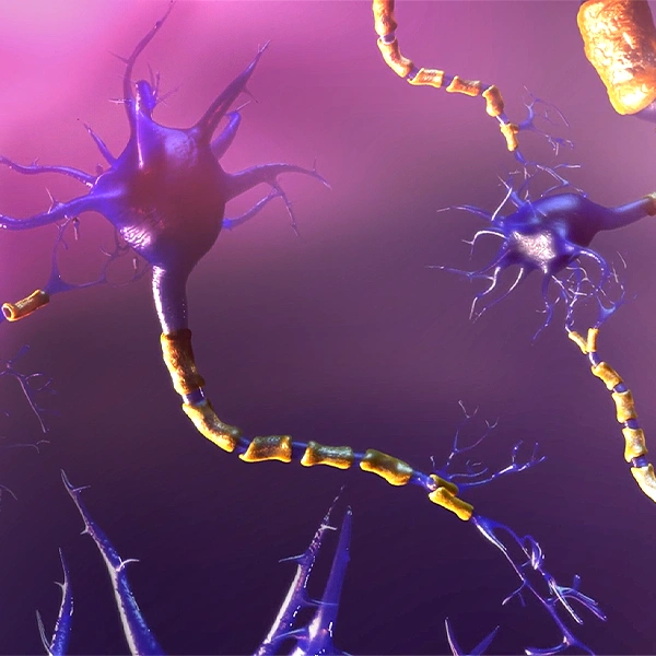 Brain-Synapse Animation